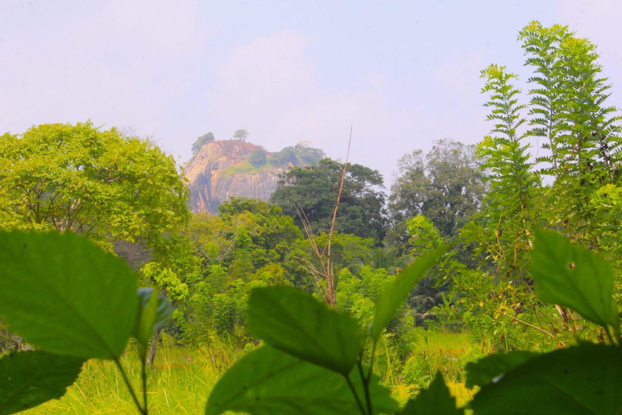Sigiriya Palace View ภายนอก รูปภาพ