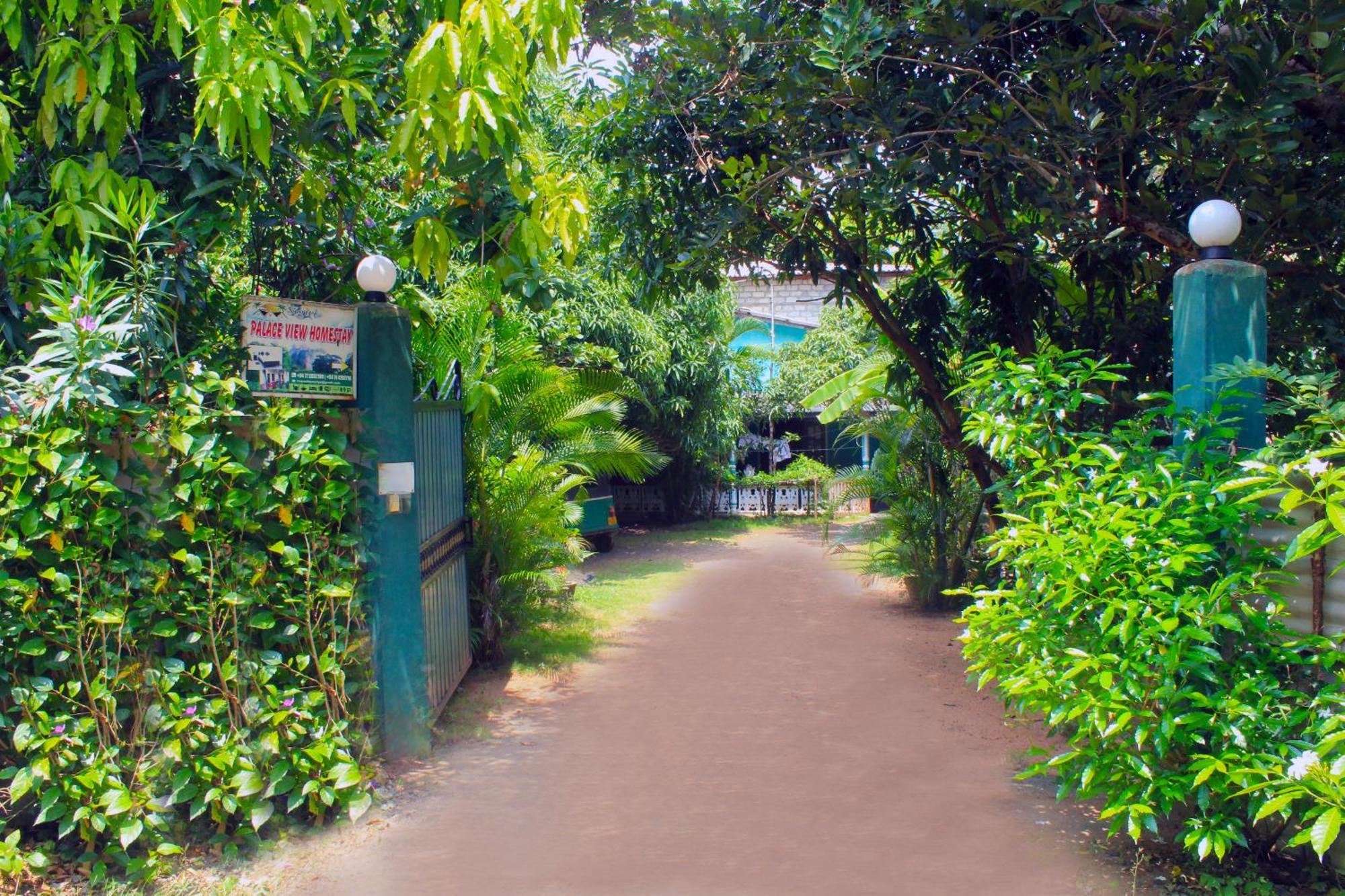 Sigiriya Palace View ภายนอก รูปภาพ